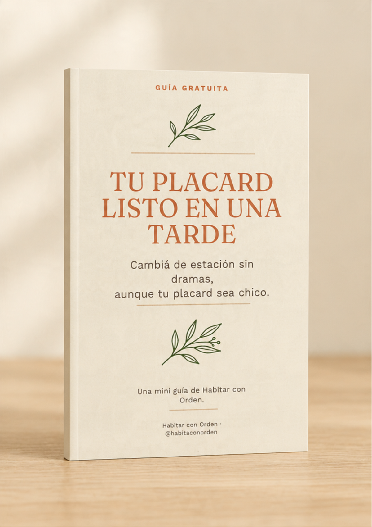 Mini guía gratis: Tu placard listo en una tarde